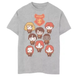 Boys 8-20 Harry Potter Gryffindor Cute Family Graphic Tee