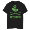 Boys 8-20 Harry Potter Slytherin Crossed Wands Logo Graphic Tee 1 Boys 8-20 Harry Potter Slytherin Crossed Wands Logo Graphic Tee -Harry Potter 5116252