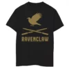 Boys 8-20 Harry Potter Ravenclaw Crossed Wands Logo Graphic Tee -Harry Potter 5116257