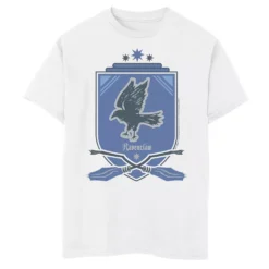 Boys 8-20 Harry Potter Ravenclaw Quidditch Logo Graphic Tee