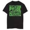 Boys 8-20 Harry Potter Slytherin Snake Silhouette Text Graphic Tee -Harry Potter 5116326