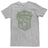 Big & Tall Harry Potter Slytherin Detailed Crest Tee -Harry Potter 5132070