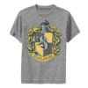 Boys 8-20 Harry Potter Hufflepuff House Crest Graphic Tee
