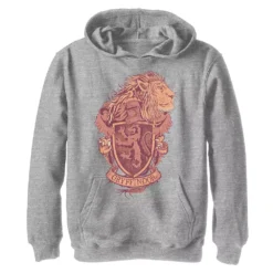 Boys 8-20 Harry Potter Gryffindor Detailed Crest Hoodie