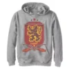 Boys 8-20 Harry Potter Gryffindor Quidditch Shield Hoodie
