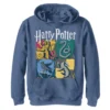 Boys 8-20 Harry Potter Hogwarts Houses Vintage Collage Hoodie -Harry Potter 5160660 Navy Heather