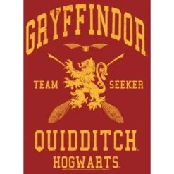 Women's Harry Potter Gryffindor Quidditch Gold Team Seeker T-Shirt