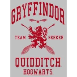 Women's Harry Potter Gryffindor Quidditch Team Seeker T-Shirt