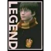 Women's Harry Potter Gryffindor Legend Portrait T-Shirt -Harry Potter GUEST 962d2987 d735 494c a7a8 972d4f922d1a