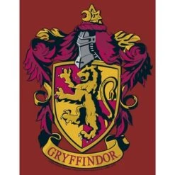 Women's Harry Potter Gryffindor Ornate Crest T-Shirt