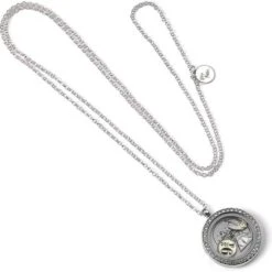 Harry Potter Locket Necklace - Silver/Transparent